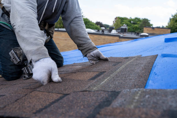 Best Roofing Contractor Near Me  in Crookston, MN