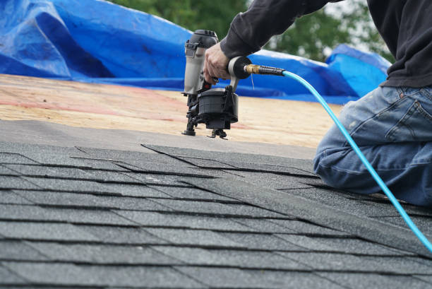 Best Shingle Roofing Installation  in Crookston, MN