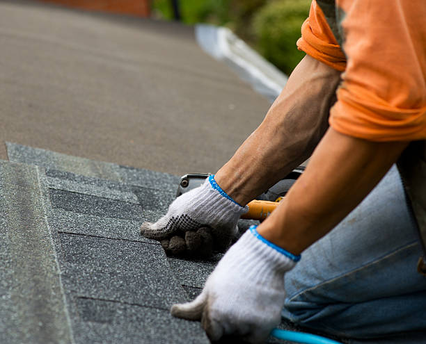 Best Roof Inspection Near Me  in Crookston, MN