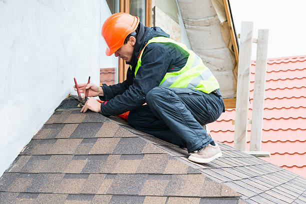 Best Roof Gutter Cleaning  in Crookston, MN